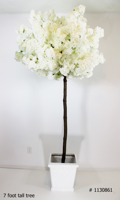 Cherry Blossom tree 7 foot tall with white planter # 1130861