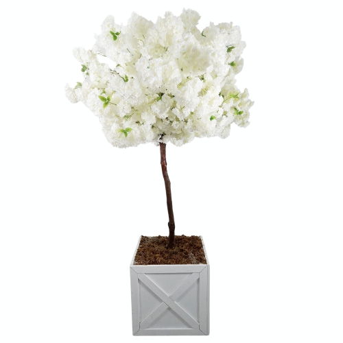 White Cherry Blossom tree7.5 foot tall with white tall planter